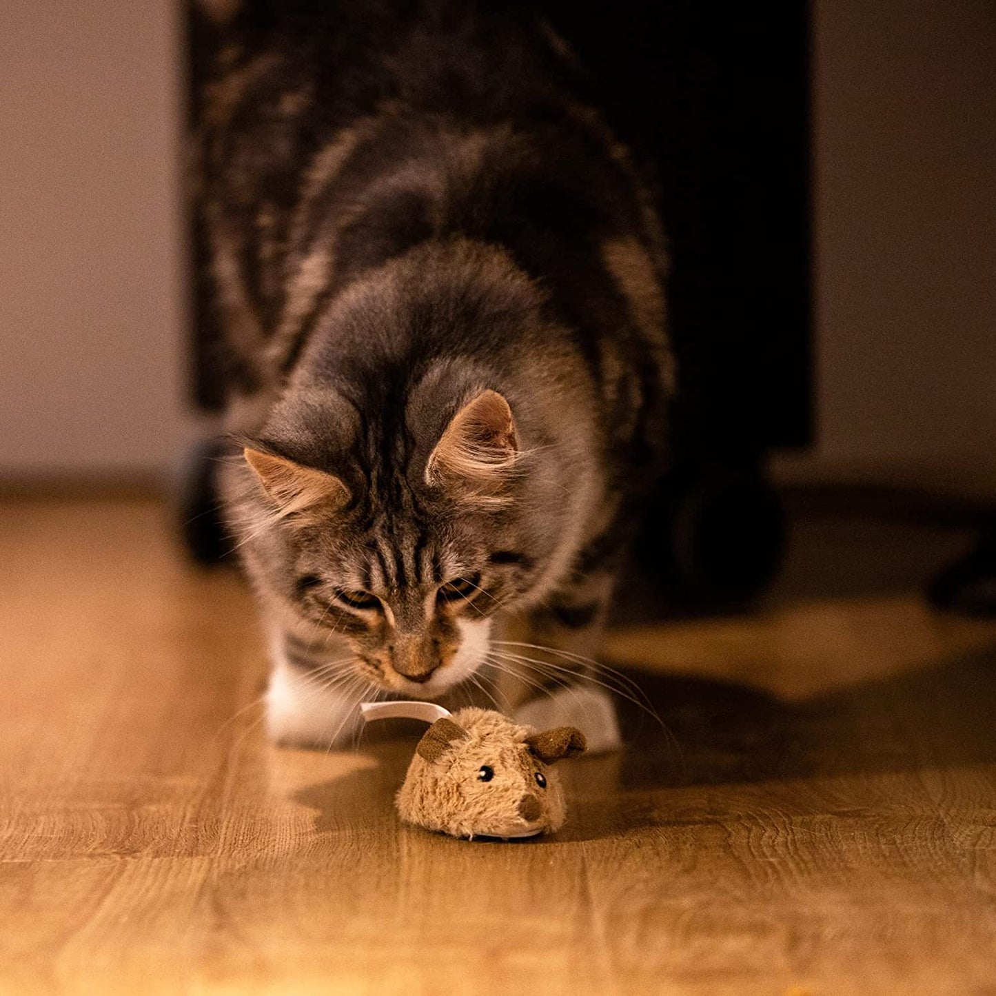 Interactive Cat Toys for Indoor Cats, Cat Mouse Toy with Electronic Realistic Squeaky Sound, Automatic Moving Kitten Toys Electric Mice Toy Self Play Exercise(Brown Ear)